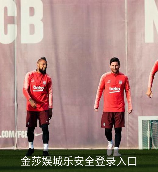 金莎娱城乐安全登录入口简介